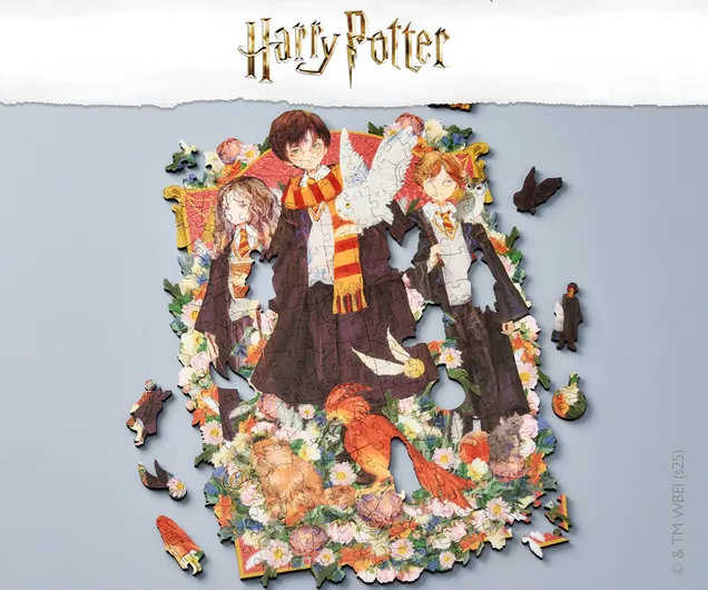 Harry Potter puzzle