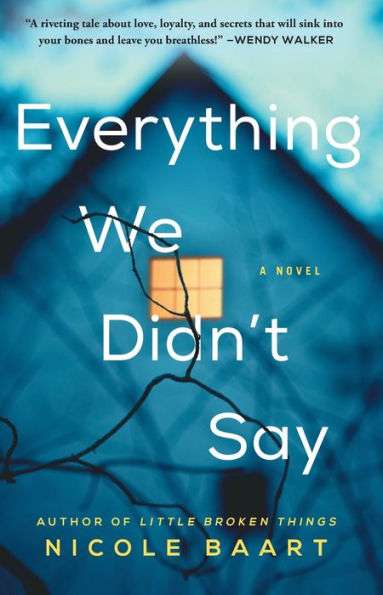 Everything We didnt say by Nicole Baart